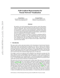 Full-Gradient Representation for Neural Network Visualization