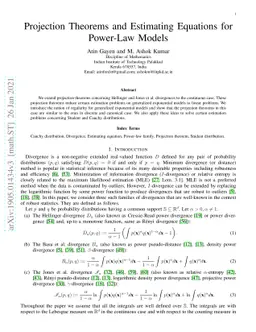 Projection Theorems and Estimating Equations for Power-Law Models