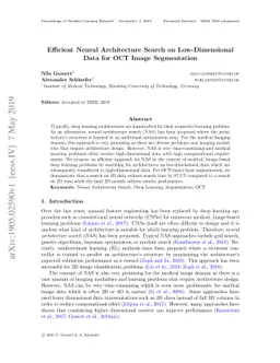 Efficient Neural Architecture Search on Low-Dimensional Data for OCT
  Image Segmentation