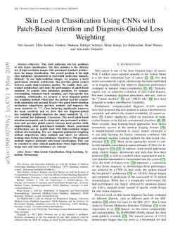 Skin Lesion Classification Using CNNs with Patch-Based Attention and
  Diagnosis-Guided Loss Weighting