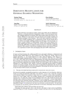 Derivative Manipulation for General Example Weighting