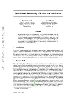 Probabilistic Decoupling of Labels in Classification