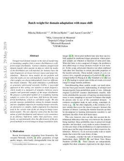 Batch weight for domain adaptation with mass shift