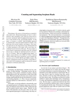 Counting and Segmenting Sorghum Heads