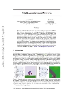 Weight Agnostic Neural Networks