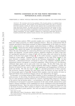 Testing goodness of fit for point processes via topological data
  analysis
