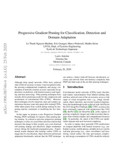 Progressive Gradient Pruning for Classification, Detection and
  DomainAdaptation