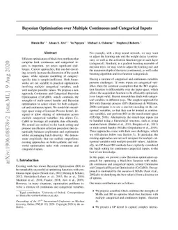 Bayesian Optimisation over Multiple Continuous and Categorical Inputs