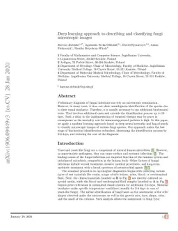 Deep learning approach to description and classification of fungi
  microscopic images