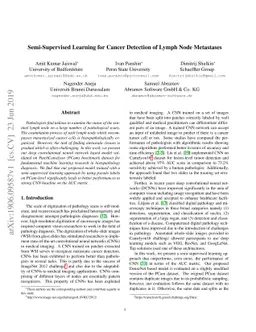 Semi-Supervised Learning for Cancer Detection of Lymph Node Metastases