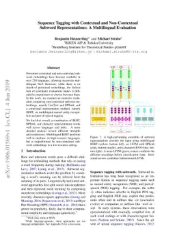 Sequence Tagging with Contextual and Non-Contextual Subword
  Representations: A Multilingual Evaluation