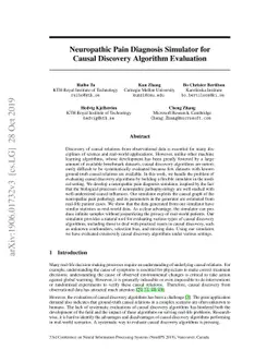Neuropathic Pain Diagnosis Simulator for Causal Discovery Algorithm
  Evaluation