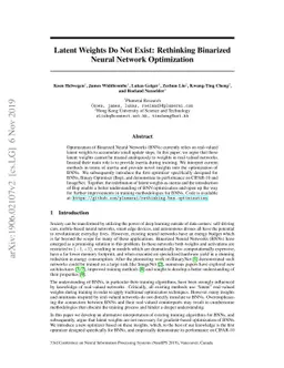 Latent Weights Do Not Exist: Rethinking Binarized Neural Network
  Optimization