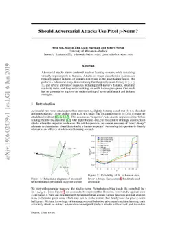 Should Adversarial Attacks Use Pixel p-Norm?