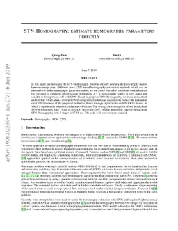 STN-Homography: estimate homography parameters directly