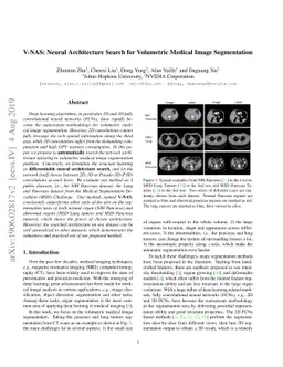 V-NAS: Neural Architecture Search for Volumetric Medical Image
  Segmentation
