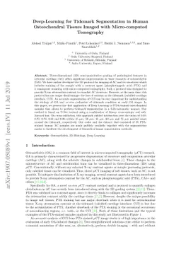 Deep-Learning for Tidemark Segmentation in Human Osteochondral Tissues
  Imaged with Micro-computed Tomography
