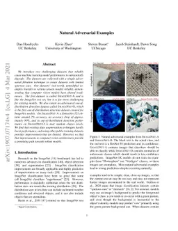 Natural Adversarial Examples