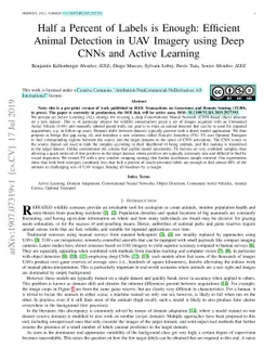 Half a Percent of Labels is Enough: Efficient Animal Detection in UAV
  Imagery using Deep CNNs and Active Learning