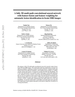 A fully 3D multi-path convolutional neural network with feature fusion
  and feature weighting for automatic lesion identification in brain MRI images