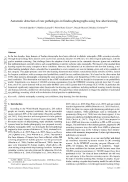 Automatic detection of rare pathologies in fundus photographs using
  few-shot learning