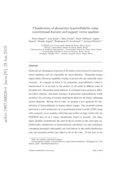 Classification of glomerular hypercellularity using convolutional
  features and support vector machine