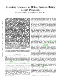 Exploiting Relevance for Online Decision-Making in High-Dimensions