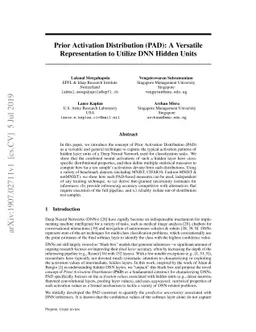 Prior Activation Distribution (PAD): A Versatile Representation to
  Utilize DNN Hidden Units