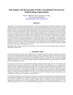 Self-Adaptive 2D-3D Ensemble of Fully Convolutional Networks for Medical
  Image Segmentation
