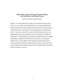 Salient Slices: Improved Neural Network Training and Performance with
  Image Entropy