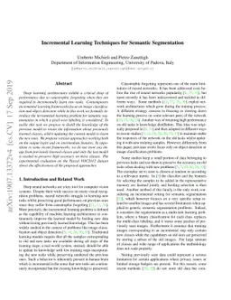 Incremental Learning Techniques for Semantic Segmentation