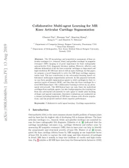 Collaborative Multi-agent Learning for MR Knee Articular Cartilage
  Segmentation