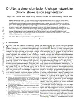 D-UNet: a dimension-fusion U shape network for chronic stroke lesion
  segmentation