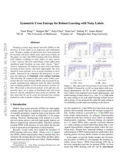 Symmetric Cross Entropy for Robust Learning with Noisy Labels