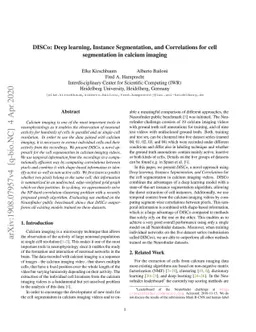DISCo: Deep learning, Instance Segmentation, and Correlations for cell
  segmentation in calcium imaging