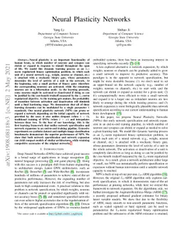 Neural Plasticity Networks