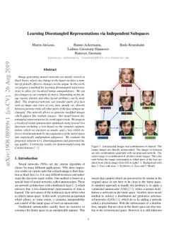 Learning Disentangled Representations via Independent Subspaces