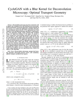 CycleGAN with a Blur Kernel for Deconvolution Microscopy: Optimal
  Transport Geometry
