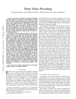 Deep Video Precoding