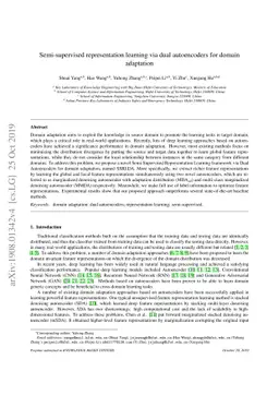 Semi-supervised representation learning via dual autoencoders for domain
  adaptation