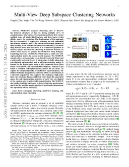 Multi-view Deep Subspace Clustering Networks