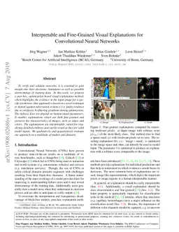 Interpretable and Fine-Grained Visual Explanations for Convolutional
  Neural Networks