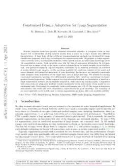 Constrained domain adaptation for Image segmentation