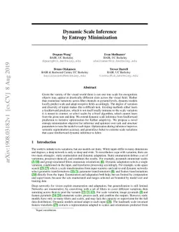 Dynamic Scale Inference by Entropy Minimization