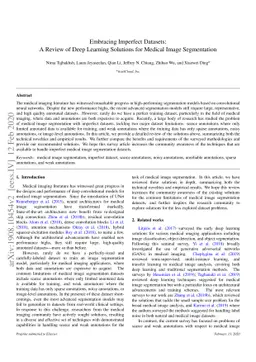 Embracing Imperfect Datasets: A Review of Deep Learning Solutions for
  Medical Image Segmentation