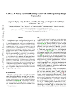 CAMEL: A Weakly Supervised Learning Framework for Histopathology Image
  Segmentation