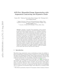 ACE-Net: Biomedical Image Segmentation with Augmented Contracting and
  Expansive Paths