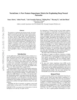NormLime: A New Feature Importance Metric for Explaining Deep Neural
  Networks