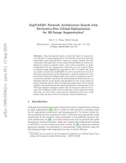 SegNAS3D: Network Architecture Search with Derivative-Free Global
  Optimization for 3D Image Segmentation