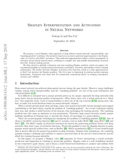Shapley Interpretation and Activation in Neural Networks
